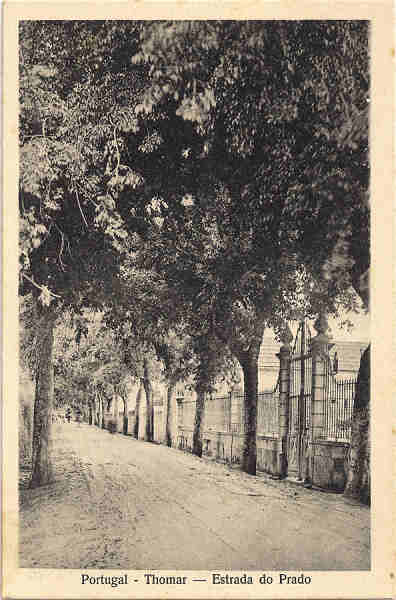 N� 37 - Portugal-Thomar � Estrada do Prado - Edi��o da Loja do Barateiro - SD -  Dim. 9x14 cm - Col. Jaime da Silva (Circulado em 1928)