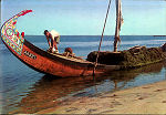 SN - TORREIRA - PORTUGAL - Barco Moliceiro - Ed. da POUSADA DA RIA, Torreira Murtosa, Foto Plat�o Mendes - SD - Dim. 150x104 mm - Col. Gra�a Maia