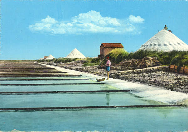 N� 325/Pr - Aveiro Salinas - Ed. Portugal Tur�stico - SD - Dim. 102x147 mm - Col. �nio Semedo