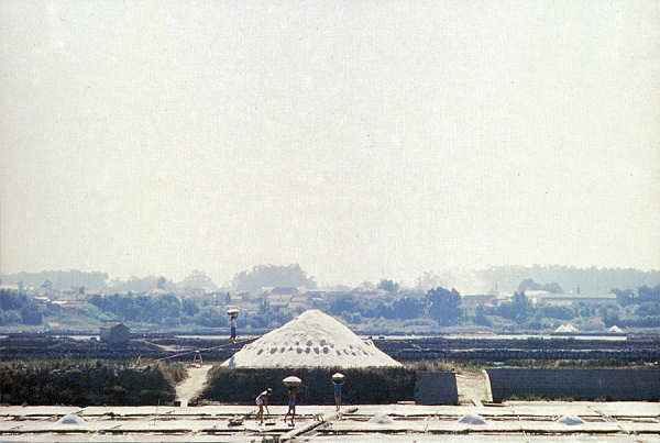 SN - Ria de Aveiro - Edi��o Extrusal (Impresso na Gr�fica do Vouga) - SD - 100x149 mm - Col. �nio Semedo