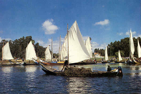 SN - Ria de Aveiro - Edi��o Extrusal (Impresso na Gr�fica do Vouga) - SD - 100x149 mm - Col. �nio Semedo