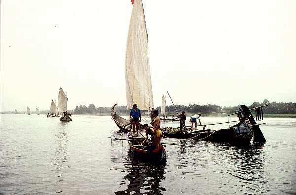 SN - Ria de Aveiro - Edi��o Extrusal (Impresso na Gr�fica do Vouga) - SD - 100x149 mm - Col. �nio Semedo