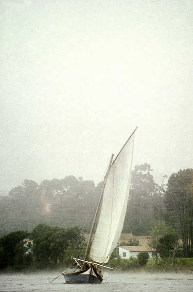 SN - Ria de Aveiro - Edi��o Extrusal (Impresso na Gr�fica do Vouga) - SD - 100x149 mm - Col. �nio Semedo