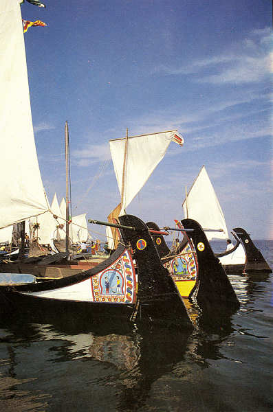 SN - Ria de Aveiro - Edi��o Extrusal (Impresso na Gr�fica do Vouga) - SD - 100x149 mm - Col. �nio Semedo