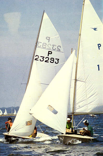 SN - Ria de Aveiro - Edi��o Extrusal (Impresso na Gr�fica do Vouga) - SD - 100x149 mm - Col. �nio Semedo