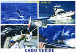 CV 01 - Ed. Billfish Club Cabo Verde - berno@mail.cvtelecom.cv  www.kapverde.com - Mobil: (00238) 91 57 48 /  - Reinhard Meyer - SD - Dim. 14,9x10,5 cm - Col. Manuel B�ia (2011)