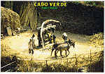 CV 19 - Santo Ant�o. Trapiche - Ed. Mindelo C.P.999 - CABO VERDE - www.caboverde-photo.com Reinhard Meyer - SD - Dim. 15x10,5 cm - Col. Manuel B�ia (2011)