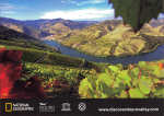 SN - Douro Valley, Portugal - Concurso de Fotografia do Douro 2010 - S�nia Arrepia - Ed. Postalfree - Dim. 148x105 mm - Col. �nio Semedo