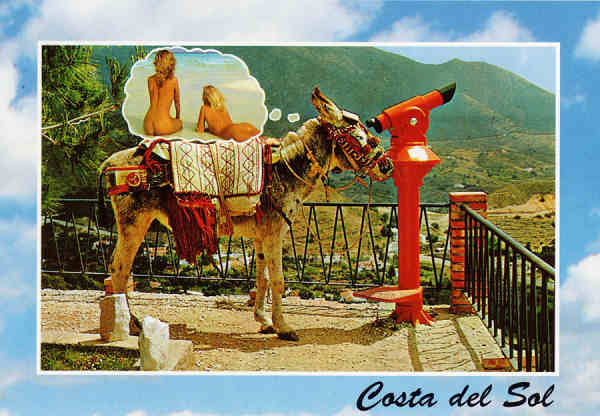N� 661 - Costa del Sol - Estampa t�pica de Andalucia - Ed. Almacenes Regalosol Andalucia S.L. - SD - Dim. 15x10,5 cm - Col. M�rio Silva
