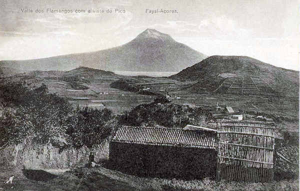 SN - Valle dos Flamengos com vista do Pico - Edi��o da Livraria d' O Telegrapho, Horta - Dim. 138x88 mm - Col. A. Monge da Silva (c. 1910)