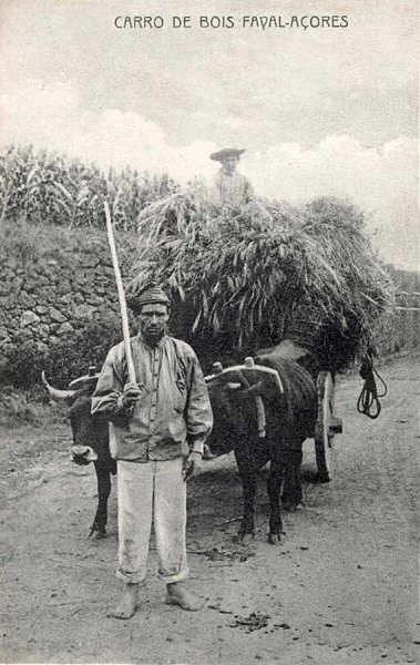 SN - Carro de Bois - Edi��o da Livraria d' O Telegrapho, Horta - Dim. 139x88 mm - Col. A. Monge da Silva (c. 1910)