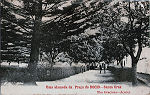 SN - Villa de Santa Cruz, uma alameda da Pra�a do Rocio -  Editor desconhecido - Dim. 140x89 mm - Col. A. Monge da Silva (c. 1910)