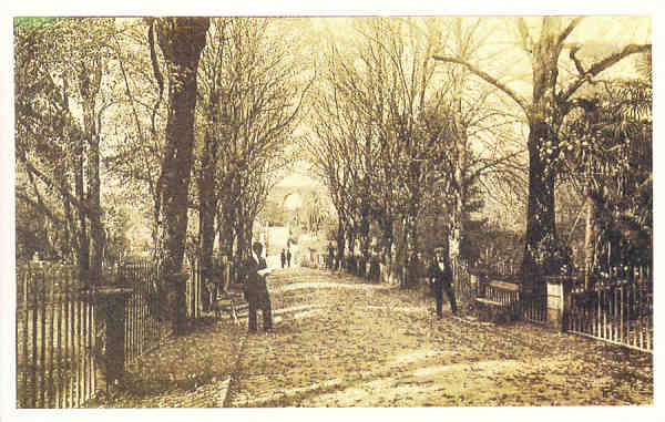 N.� 8 - Av. das Trinas no Jardim Bot�nico - COIMBRA - Ed. An�nima (cerca de 2012) - Dim. 140x90 mm - Col. �nio Semedo