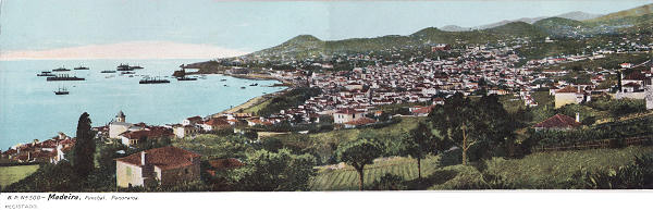 N� 500 - Funchal, Panorama (1) - Editor B.P. - Dim. 282x92 mm - Col. A. Monge da Silva (c. 1910)