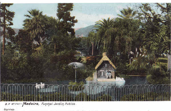 N� 141 - Funchal, Jardim P�blico - Editor B.P. - Dim. 139x91 mm - Col. A. Monge da Silva (c.1907)