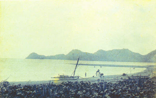 SN - Ba�a de Dili - Edi��o an�nima -  SD - Dim. ??x?? cm - Col. Monge da Silva (Cerca de 1910)