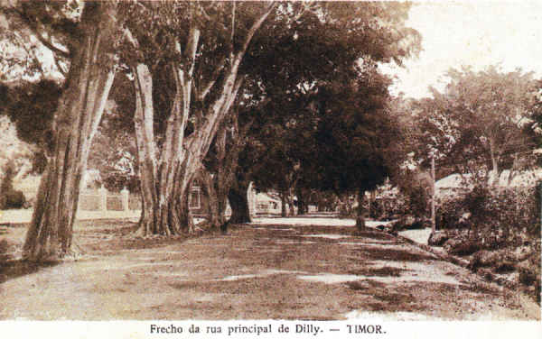SN - Trecho da rua principal de Dilly - Timor - Edi��o L.Geisler -  SD - Dim. ??x?? cm - Col. Monge da Silva (Cerca de 1910)
