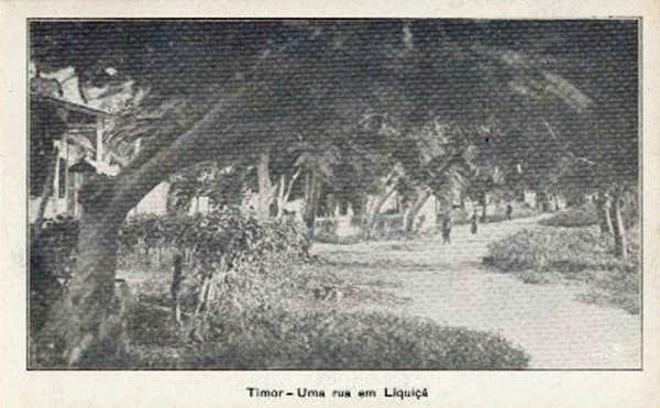SN - Timor - Uma rua em Liqui�� - Edi��o da Circunscri��o Civil de Liqui�� -  SD - Dim. ??x?? cm - Col. Monge da Silva (Cerca de 1925)