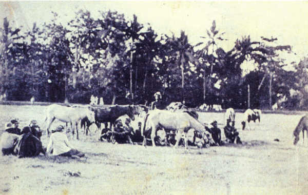 SN - Timor - Acampamento - Edi��o da Miss�o - SD - Dim. ??x?? cm - Col. Monge da Silva (Cerca de 1927)