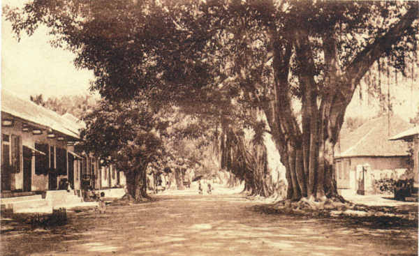 SN - Timor Portugu�s - Rua do com�rcio, Dili - Edi��o da Miss�o - SD - Dim. ??x?? cm - Col. Monge da Silva (Cerca de 1927)