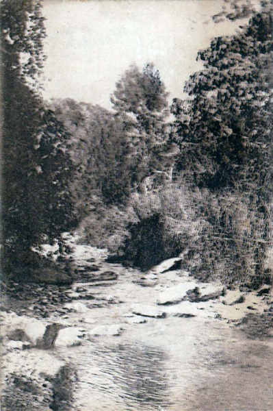 SN - Timor Portugu�s - Trecho de uma ribeira - Edi��o da Miss�o - SD - Dim. ??x?? cm - Col. Monge da Silva (Cerca de 1927)