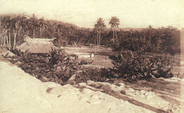 SN - Timor Portugu�s - Uma paisagem de Viqueque - Edi��o da Miss�o - SD - Dim. ??x?? cm - Col. Monge da Silva (Cerca de 1927)