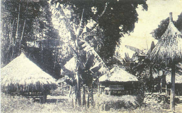 SN - Timor Portugu�s - Trecho de uma povoa��o ind�gena - Edi��o da Miss�o - SD - Dim. ??x?? cm - Col. Monge da Silva (Cerca de 1927)