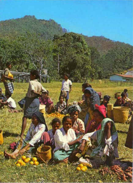 SN - Bazar do Remexio. Foto Ten Luis Filipe Tom�s - Edi��o do Movimento Nacional Feminino - SD - Dim. ??x?? cm - Col. A. Monge da Silva  (cerca de 1970)