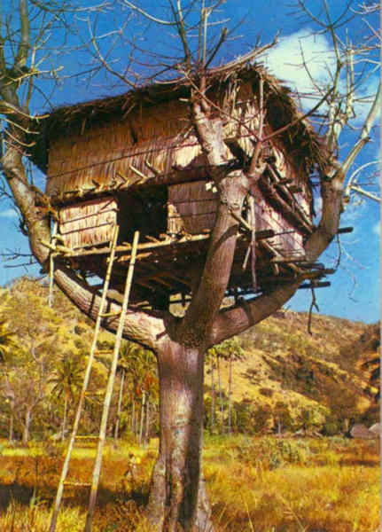 SN - Celeiro a�reo no Ata�ro - Foto A. de la Porte - Edi��o do MNF-Timor - SD - Dim. ???x??? mm - Col. A. Monge da Silva (cerca de 1970)