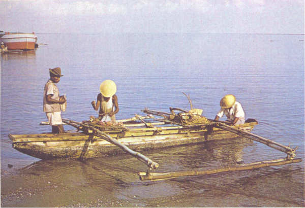 SN - Um beiro - Edi��o do MNF-Timor - SD - Dim. ???x??? mm - Col. A. Monge da Silva (cerca de 1970)