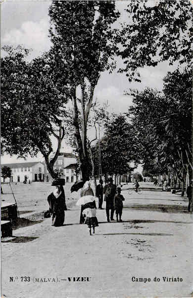 N� 733 - Campo de Viriato - Editor Alberto Malva, Rua da Magdalena, 23, Lisboa - Dim. 138x89 mm - (papel fotogr�fico) - Col. A. Monge da Silva