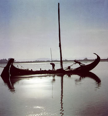 Moliceiro na faina do moliço.