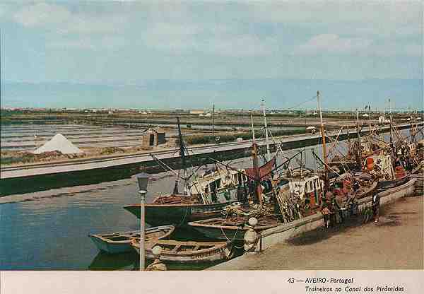 Postal editado pela Papelaria Avenida - n.� 43 - S/D - Dimens�es: 14,8x10,3 cm. Col. HJCO