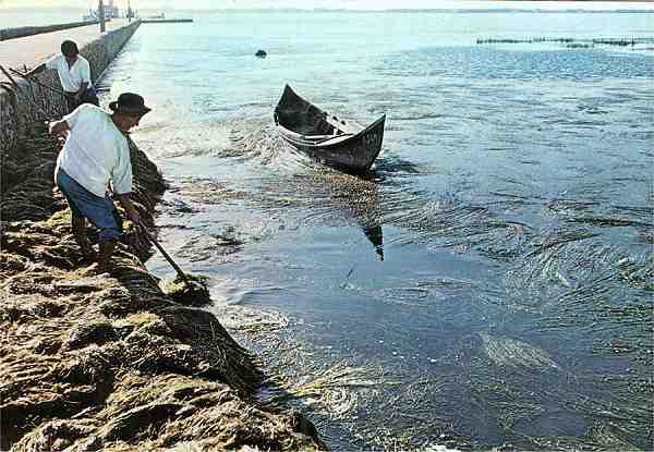 Ed. do Centro de Caridade �N� Sr� Perp�tuo Socorro�, n.� 108 - S/D - Dimens�es: 15x10,3 cm. - Fotografia cedida por Te�filo Rego. Ano de aquisi��o: 1972 - Col. HJCO