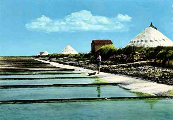 N.� 325 - Portugal Tur�stico - S/D - Dimens�es: 14,7x10,4 cm - Col. M. F. Silva.