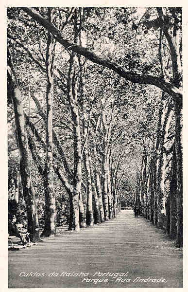 S/N - Caldas da Rainha-Portugal Parque Rua Andrade - Editor Fernando Daniel de Sousa - Editado em 1927 - Dimens�es: 14X9 cm. - Col. Miguel Chaby