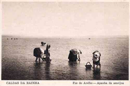 S/N - Foz do Arelho: apanha da am�ijoa - Editor Fernando Daniel de Sousa, Caldas da Rainha - Dimens�es: 14x9,7 cm. - Col. Miguel Chaby.