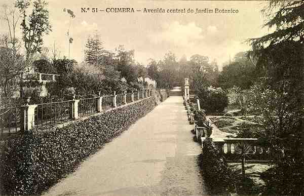 N.� 51 - Coimbra: avenida central do Jardim Bot�nico - Edi��o da Havaneza Central, R. Visconde da Luz, 2 a 6-Coimbra - S/D - Dimens�es: 13,9x8,9 cm. - Col. Aur�lio Dinis Marta.