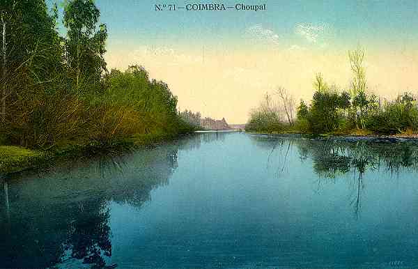 N.� 71 - Coimbra: Choupal - Edi��o da Havaneza Central, R. Visconde da Luz, 2 a 6-Coimbra - S/D - Dimens�es: 13,8x8,9 cm. - Col. Aur�lio Dinis Marta.