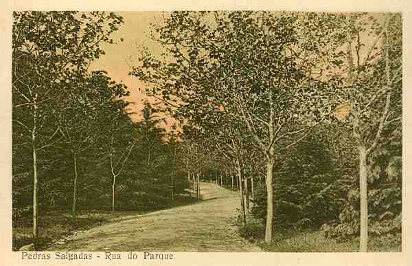 S/N - Pedras Salgadas - Rua do Parque - Sem indica��o do editor - S/D - Dimens�es: 13,9x9 cm. - Col. Aur�lio Dinis Marta.