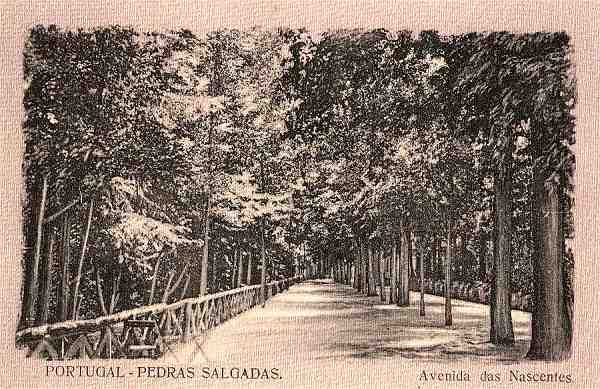S/N - Pedras Salgadas - Avenida das Nascentes - Sem indica��o do editor - S/D - Dimens�es: 13,6x8,7 cm. - Col. Aur�lio Dinis Marta.