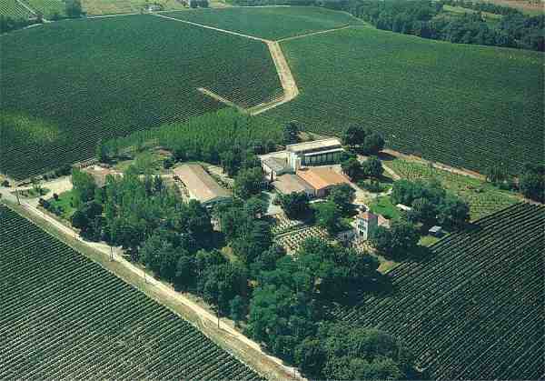 S/N.� - Ch�teau Bellevue la For�t - Appelation control�e C�tes du Frontonnais - Dimens�es: 14,9x10,5 cm. - Col. HJCO (1996).