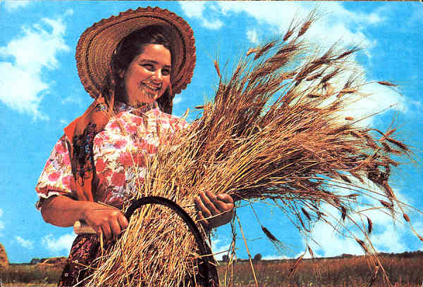 N.� 351/A - RIBATEJO PORTUGAL. Ceifeira - Edi��o Centro de Caridade "Nossa Senhora do Perp�tuo Socorro", PORTO - S/D - Dimens�es: 14,9x10,4 cm. - Col. F�tima B�ia.