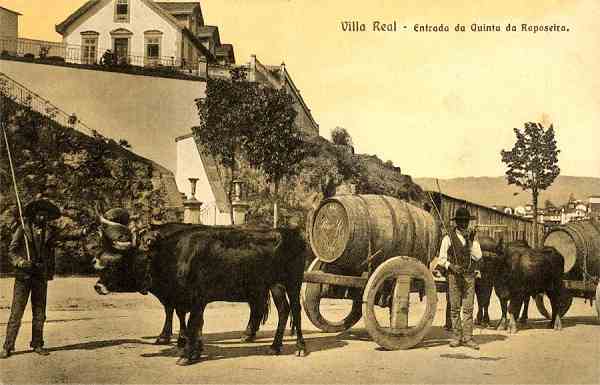 S/N - Villa Real-Entrada da Quinta da Raposeira - Edi��o da Imorensa Moderna, Villa Real - S/D - Dimens�es: 14x8,9 cm. - Col. Aur�lio Dinis Marta.