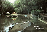 Ref� 13 - AVEIRO Portugal, Lago do jardim, Distribuidores Bruno da Rocha, Aveiro, SD, Dim. 150x104 mm, Col. Nela d'Almeida.