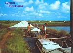 Ref� 28 - AVEIRO Portugal, Salineiros na prepara��o do sal, Distribuidores Bruno da Rocha, Aveiro, SD, Dim. 150x102 mm, Col.Nela d'Almeida.