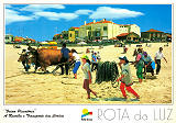 Ref� 43, ROTA DA LUZ, Faina Piscat�ria (Onde?), A recolha e transporte das cordas, Regi�o de Turismo da Rota da Luz, Costa de Prata Aveiro, Portugal, Ed. Francisco M�s, Lda, SD, Dim. 150x105 mm, Col. Nela d'Almeida 