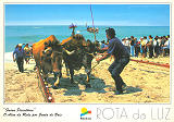 Ref� 37, ROTA DA LUZ, Faina Piscat�ria (ONDE?), O Alar da Rede por Junta de Bois, Regi�o de Turismo da Rota da Luz, Costa de Prata Aveiro, Portugal, Ed. Francisco M�s, Lda, SD, Dim. 150x105 mm, Col. Nela d'Almeida 