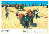 Ref� 38, ROTA DA LUZ, (Faina Piscat�ria), O Alar das Redes, (Localidade???), Regi�o de Turismo da Rota da Luz, Costa de Prata, Aveiro, Portugal, Ed. Francisco M�s Lda, Amadora, tel. (01)4961155, SD, Dim. 150x105 mm, Col. Nela d'Almeida.
