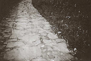 Tro�o de cal�ada romana - S�c. I - Branca